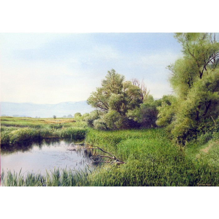 Near the lake Near the lake