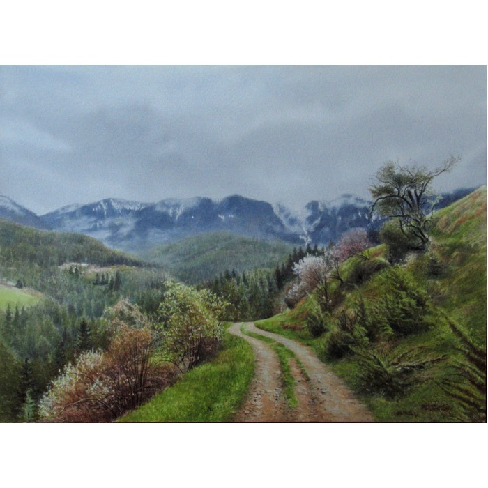Road through the mountains Road through the mountains