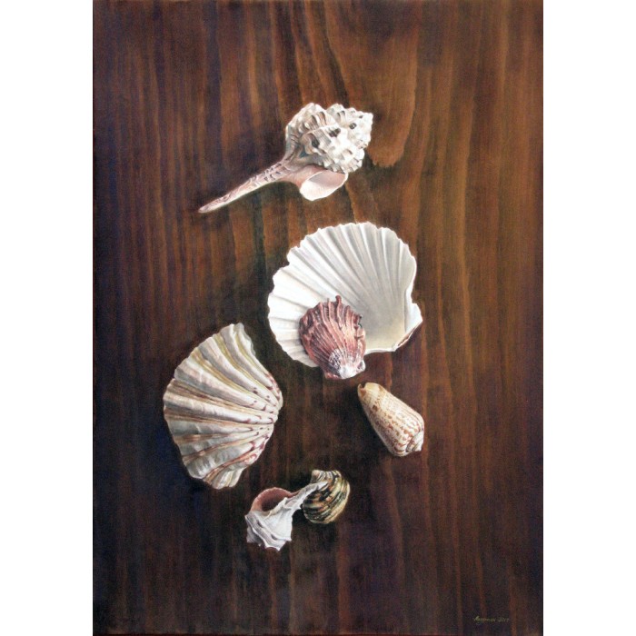 Shells Shells