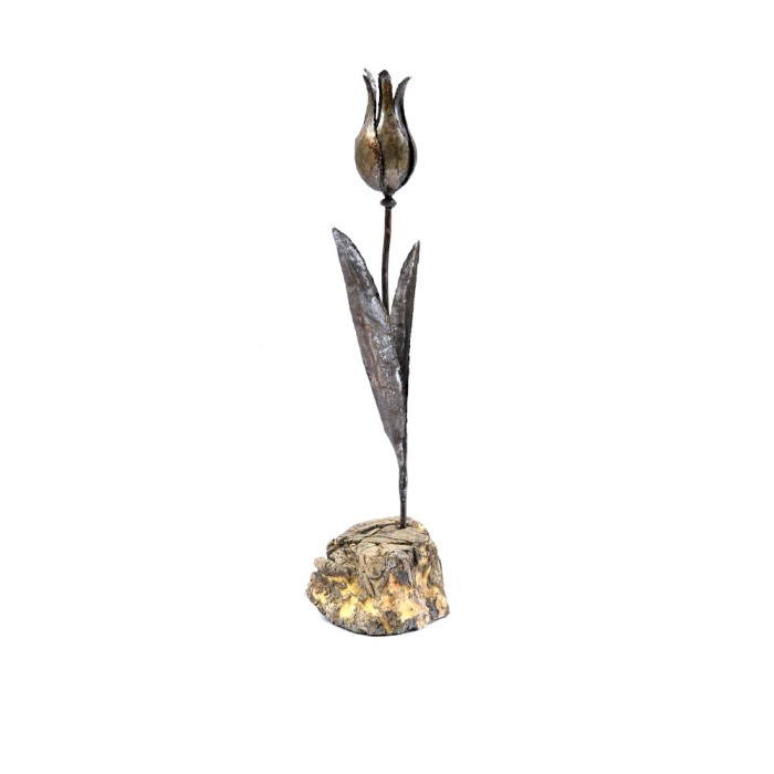 Tulip
