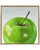 Green, 2011 Green, 2011