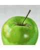 Green, 2011 Green, 2011