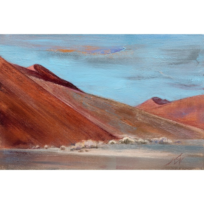 Namib, sand, sky - 17