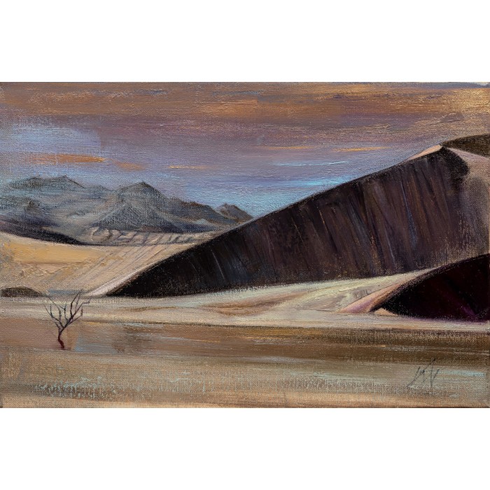 Namib, sand, sky - 21 Namib, sand, sky - 21