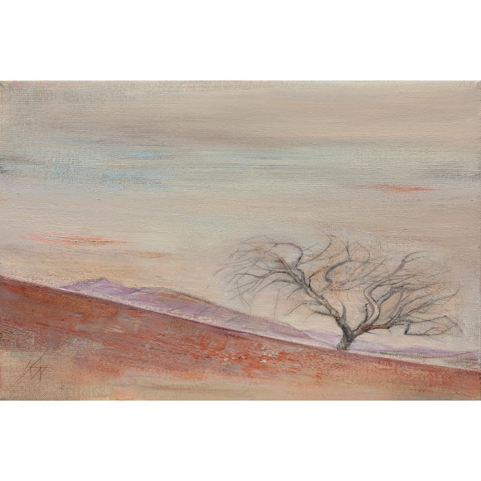 Namib, sand, sky - 22