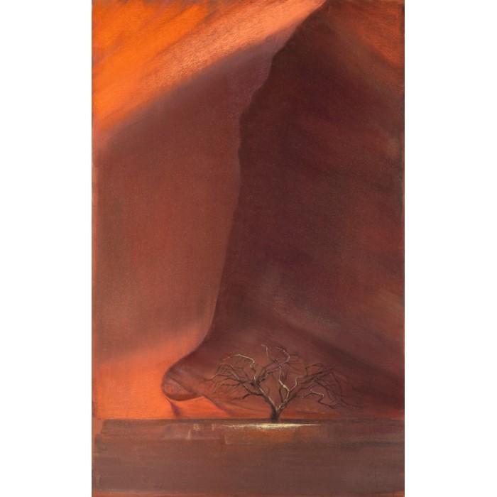 Namib, sand, sky - 9 Namib, sand, sky - 9