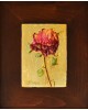 The rose The rose