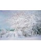 Symphony in white
