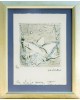 The white dove I The white dove I