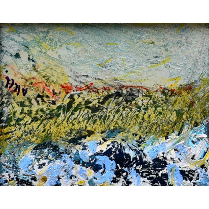 Field Field