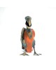Pelican Pelican