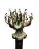 The Tree of Life The Tree of Life