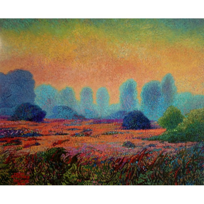 Field in the fog Field in the fog