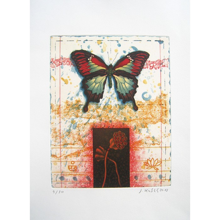 Butterfly Butterfly