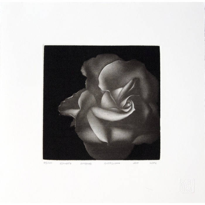 Flower 4 Flower 4