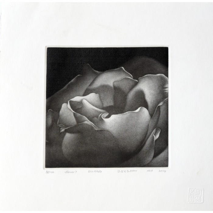 Flower 7 Flower 7