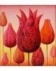 The Way of the Tulip