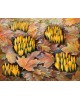 cycle Floral carpets II