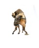 Troy II