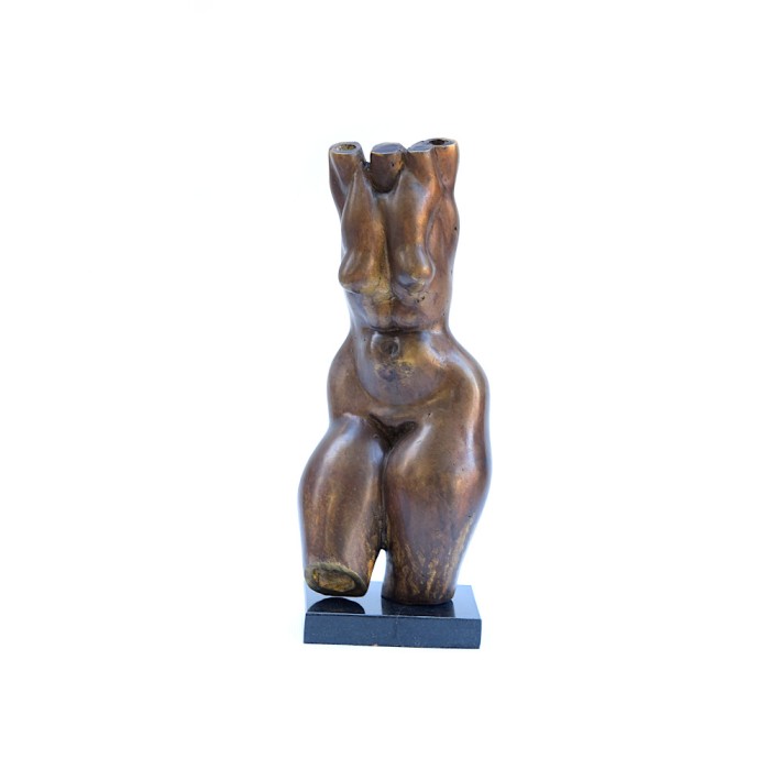 Female torso