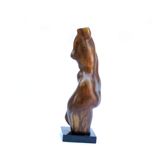 Female torso