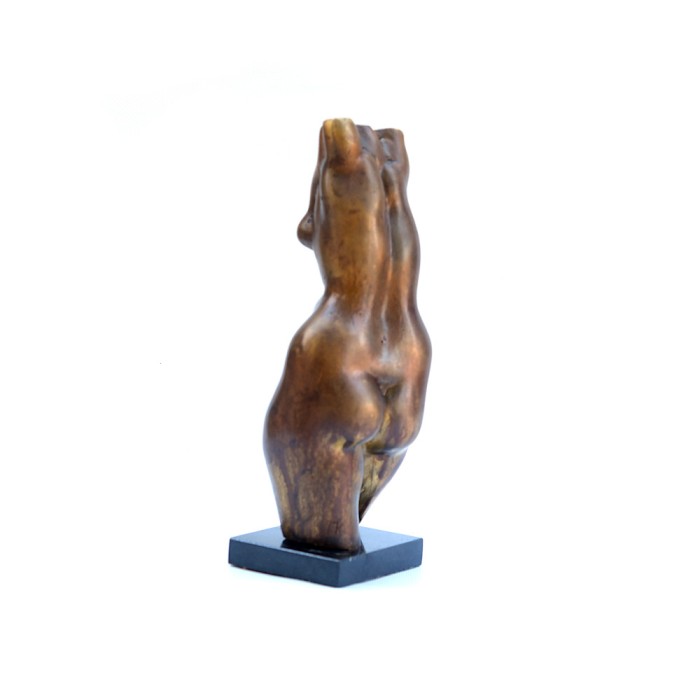 Female torso
