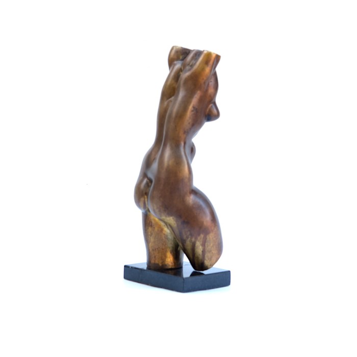 Female torso