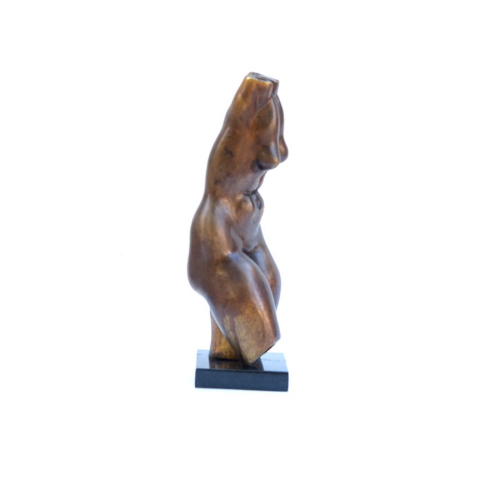 Female torso