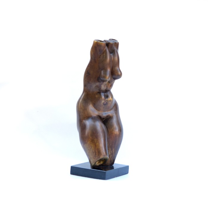 Female torso