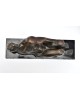 Figure, 1993 Figure, 1993