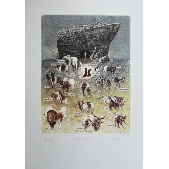 Noah`s Ark Noah`s Ark