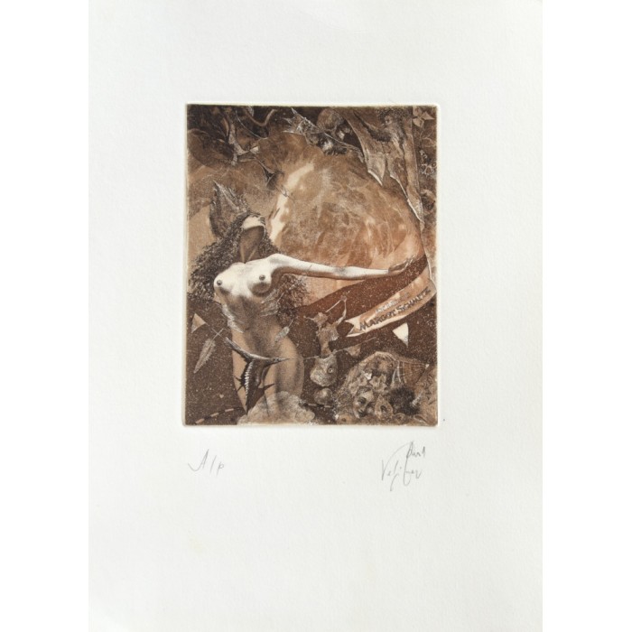 Exl.Margot Schmitz