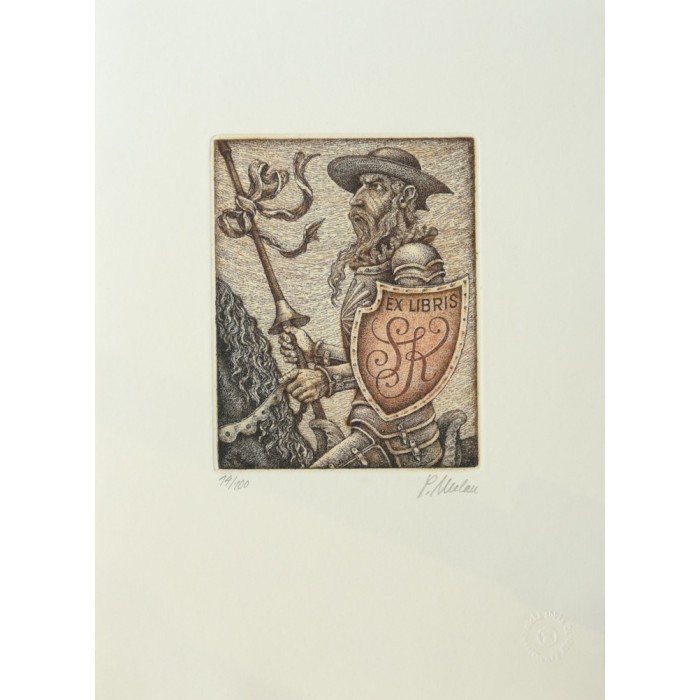Exl.Don Quixote