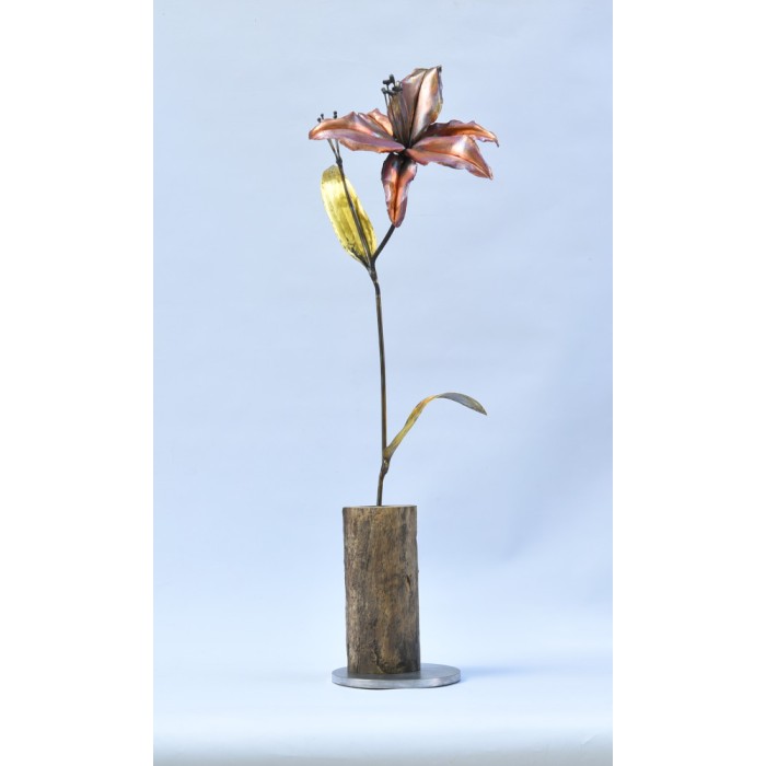 Lilium Lilium