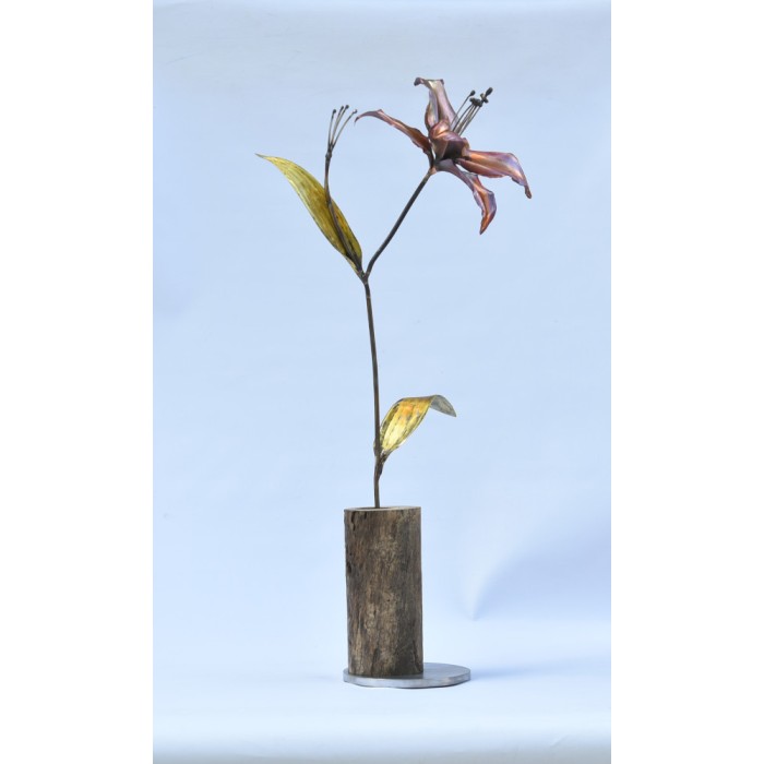 Lilium Lilium
