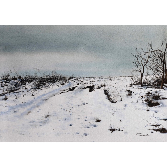 Winter Winter