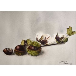 Autumn Autumn
