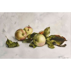 Apples Apples