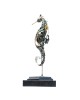 Seahorse Seahorse