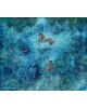 Hippocampus Hippocampus