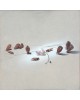 Spatial projections Spatial projections