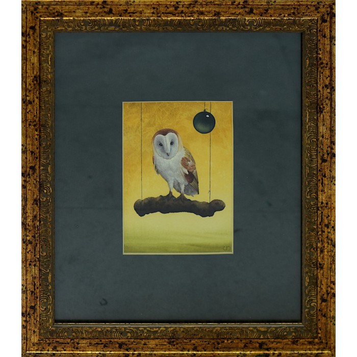 Owl Owl