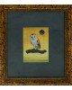 Owl Owl