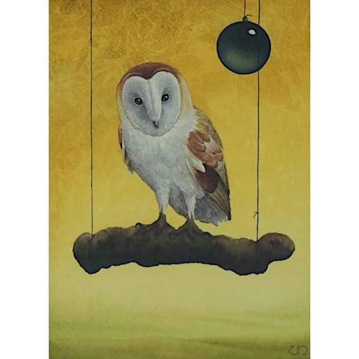 Owl Owl