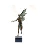 Icarus Icarus