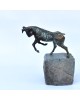 Capricorn