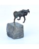 Capricorn