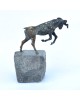 Capricorn