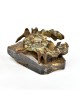 Sea Crab Sea Crab