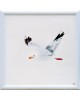 Flight